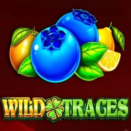 Play Wild Traces slot by Amusnet Interactive on levelsupcasino.com